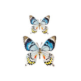 Blue Colorful Butterfly Acrylic Art Block - Small