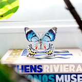 Blue Colorful Butterfly Acrylic Art Block - Large