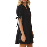 Collared V Neckline Pleated Detail A Line Dress