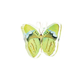 Green Butterfly Acrylic Art Block - Small
