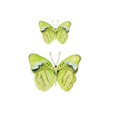 Green Butterfly Acrylic Art Block - Small