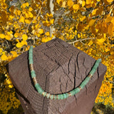 Mojave Snake Stone Beaded Necklace