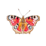 Peacock Butterfly Acrylic Art Block - Small