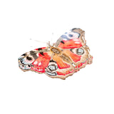 Peacock Butterfly Acrylic Art Block - Large